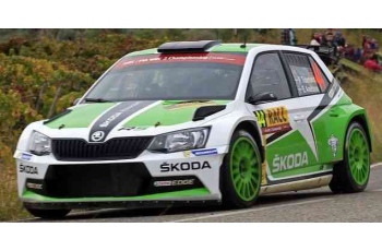 15-CT-44   Skoda Fabia R5 Catalunya 2015 Tidemand