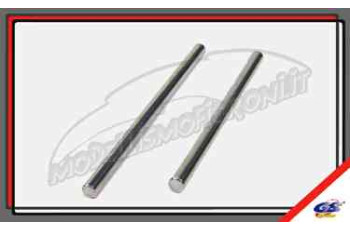 GS-VS1019 - Rear Lower Suspension Hinge Pin (2)