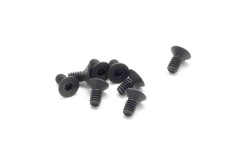 SWORKz M2.0x4mm FH/ST HEX Screw